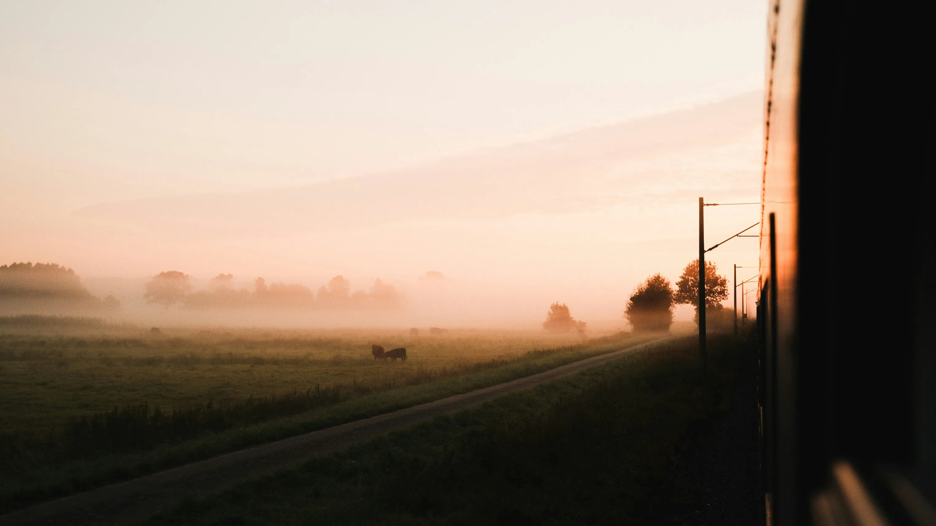 Bildbakgrund för inloggning-/utloggningssidan